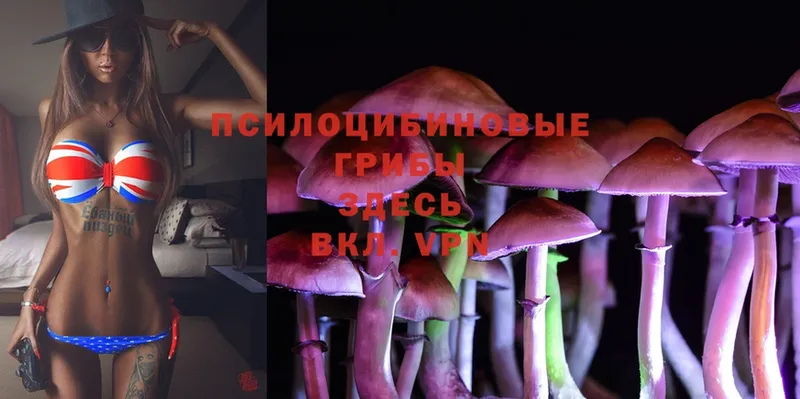 Галлюциногенные грибы Cubensis  Ступино 